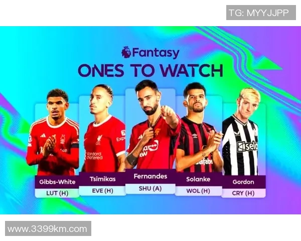 赛事恢复安排与未来发展规划的全面解析与展望